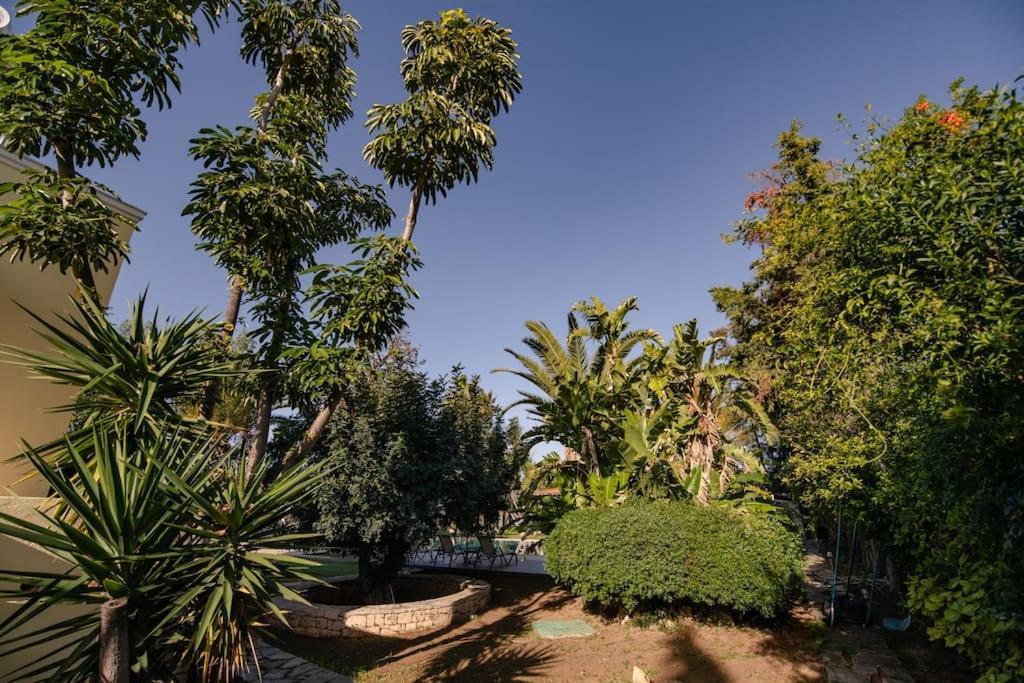Villa Elmar Aegina Luaran gambar